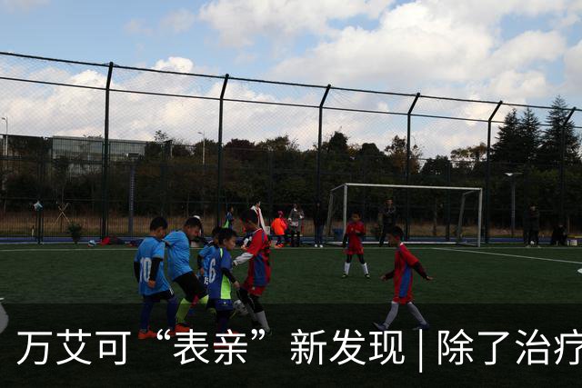 万艾可“表亲”新发现 | 除了治疗勃起功能障碍，还能帮助肌肉细胞保持再生状态