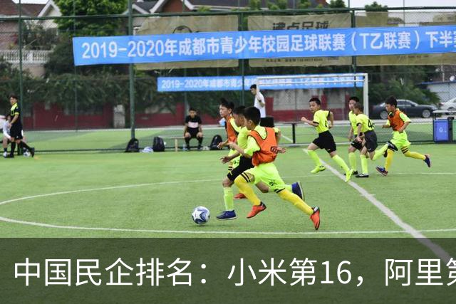 中国民企排名：小米第16，阿里第2，第1名营收11588亿，凭什么？