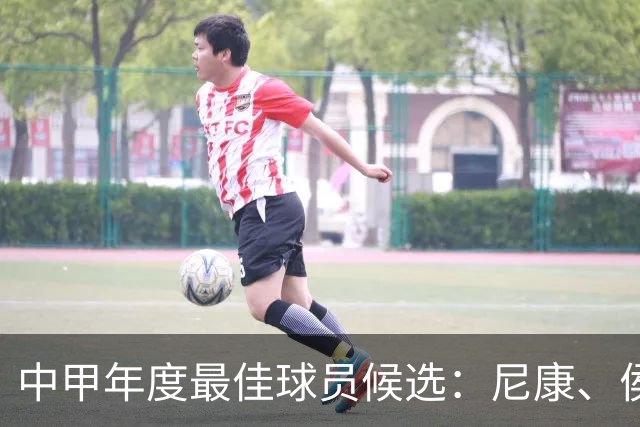 中甲年度最佳球员候选：尼康、侯煜、卡卢卢、谭龙等人入选
