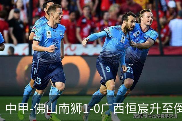 中甲-佛山南狮1-0广西恒宸升至倒数第二 马梅·恩迪亚耶制胜