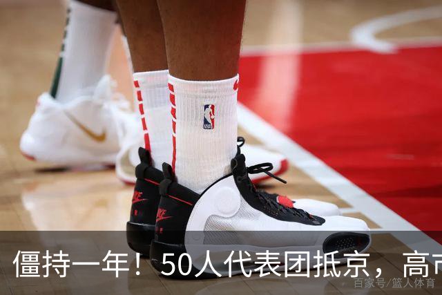 僵持一年！50人代表团抵京，高市万万没想到，中国给了212吨稀土