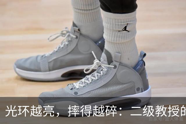 光环越亮，摔得越碎：二级教授的晚节，碎在了“药”和“砖”上