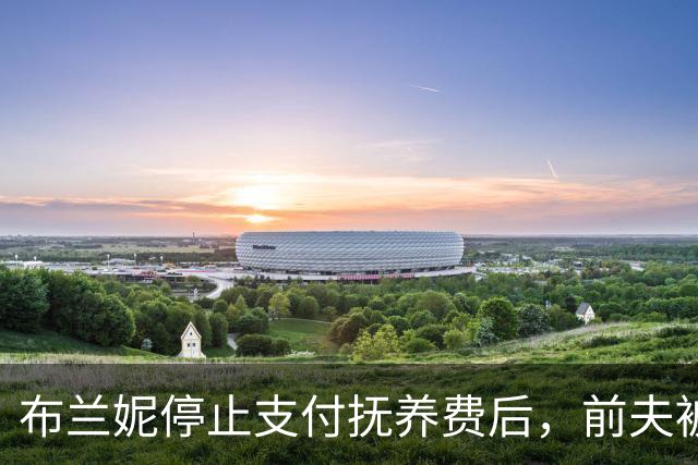 布兰妮停止支付抚养费后，前夫被曝欠债还不上账单