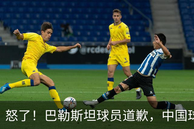 怒了！巴勒斯坦球员道歉，中国球迷不买账：先赢回来再谈尊重！