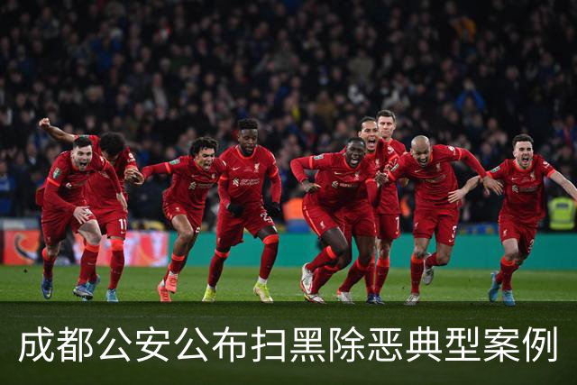 成都公安公布扫黑除恶典型案例