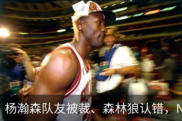 杨瀚森队友被裁、森林狼认错，NBA高个控卫实验，为什么都失败了