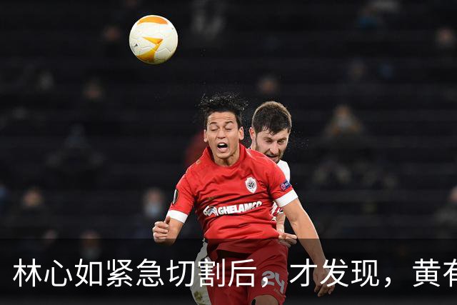 林心如紧急切割后，才发现，黄有龙给赵薇留了一条人尽皆知的退路