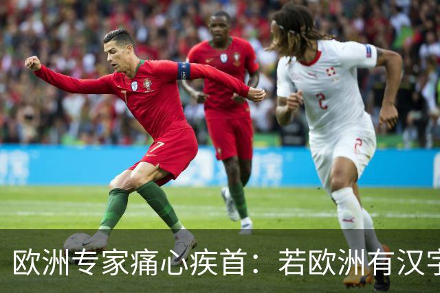 欧洲专家痛心疾首：若欧洲有汉字这样的文字，罗马之后就可统一了