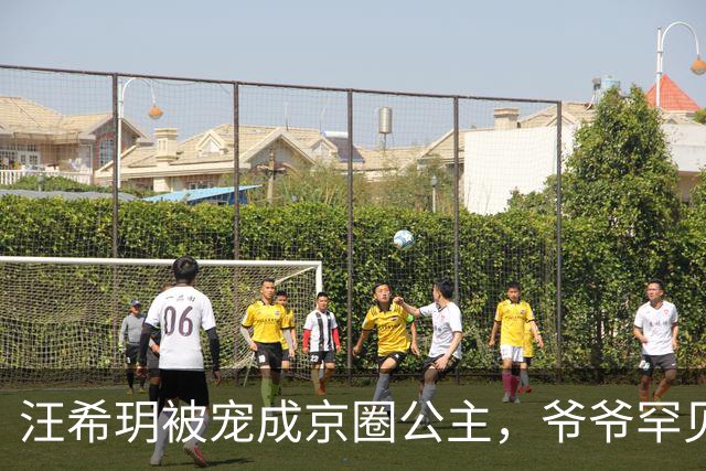 汪希玥被宠成京圈公主，爷爷罕见露面送宠物，被富养的她变化太大