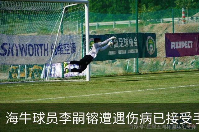 海牛球员李嗣镕遭遇伤病已接受手术，记者：基本宣告赛季报销