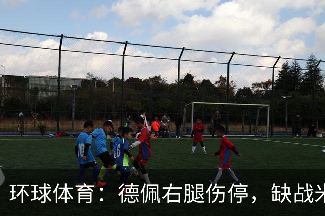 环球体育：德佩右腿伤停，缺战米拉索尔