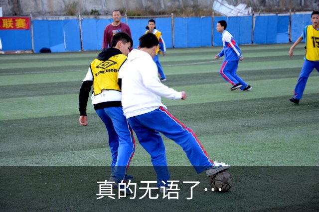 真的无语了…