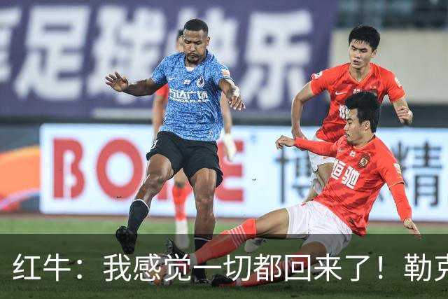 红牛：我感觉一切都回来了！勒克莱尔：我也一样……