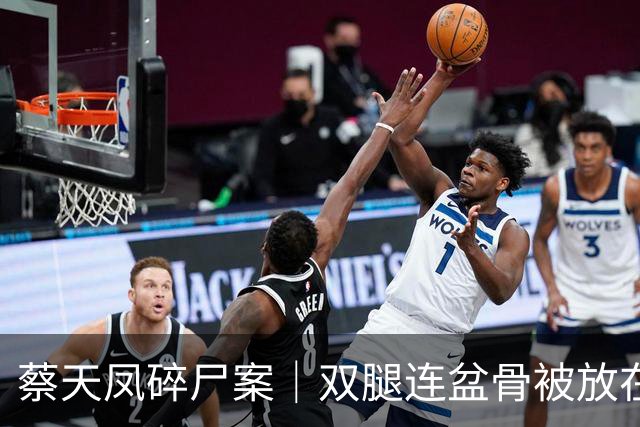 蔡天凤碎尸案｜双腿连盆骨被放在冰箱内，政府化验师形容“骨上面有点肉”