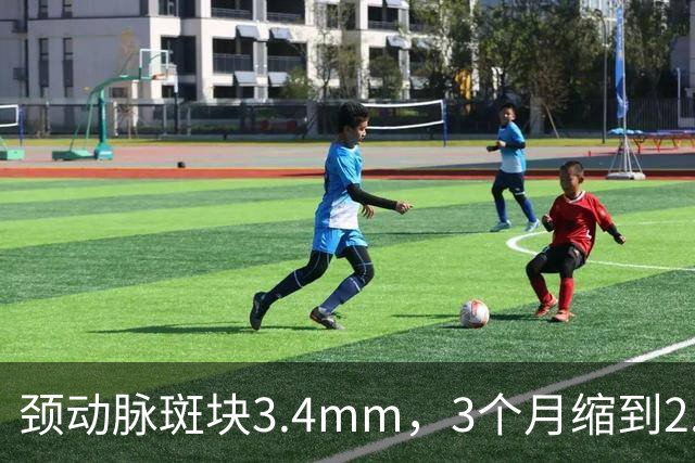颈动脉斑块3.4mm，3个月缩到2.6mm！我用了40年的化斑方 今天说透