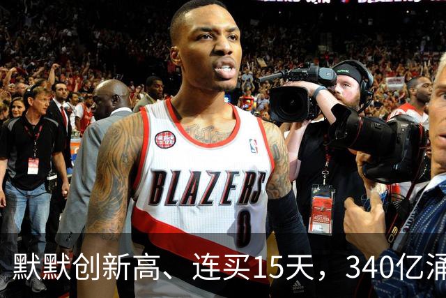 默默创新高、连买15天，340亿涌向这里