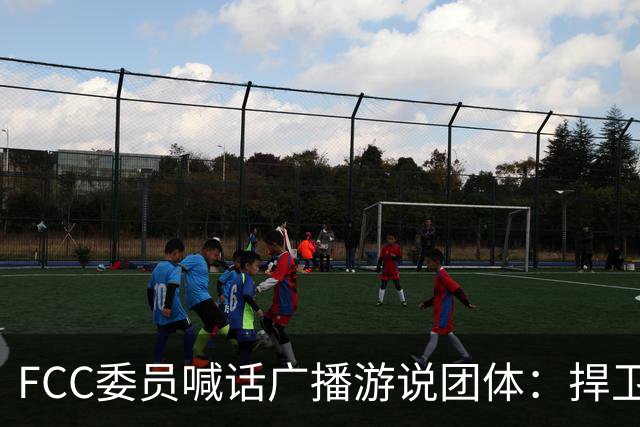 FCC委员喊话广播游说团体：捍卫电视台报道民调的权利